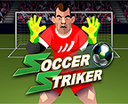 Soccer Striker